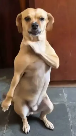 Jamal