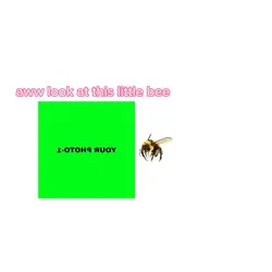 Try new template