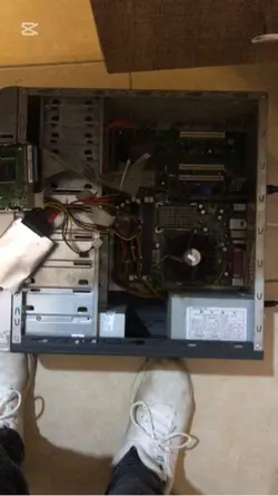 Canım ekşın istiyor 