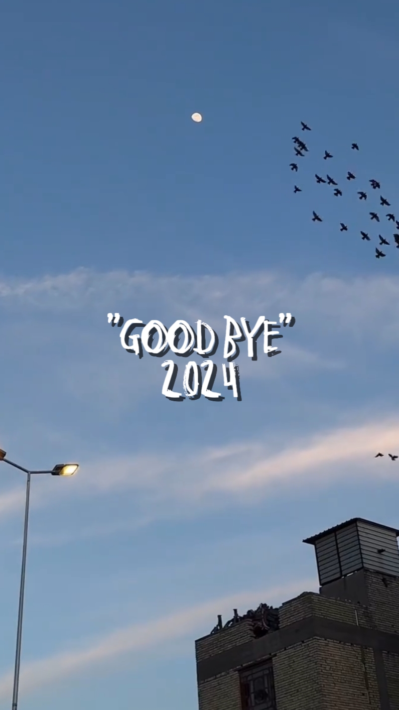 Good bye 2024 