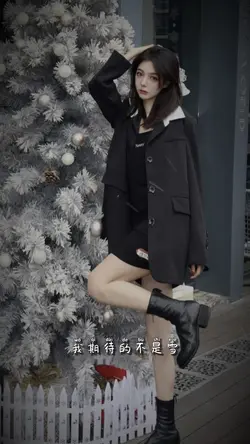 我期待的不是雪