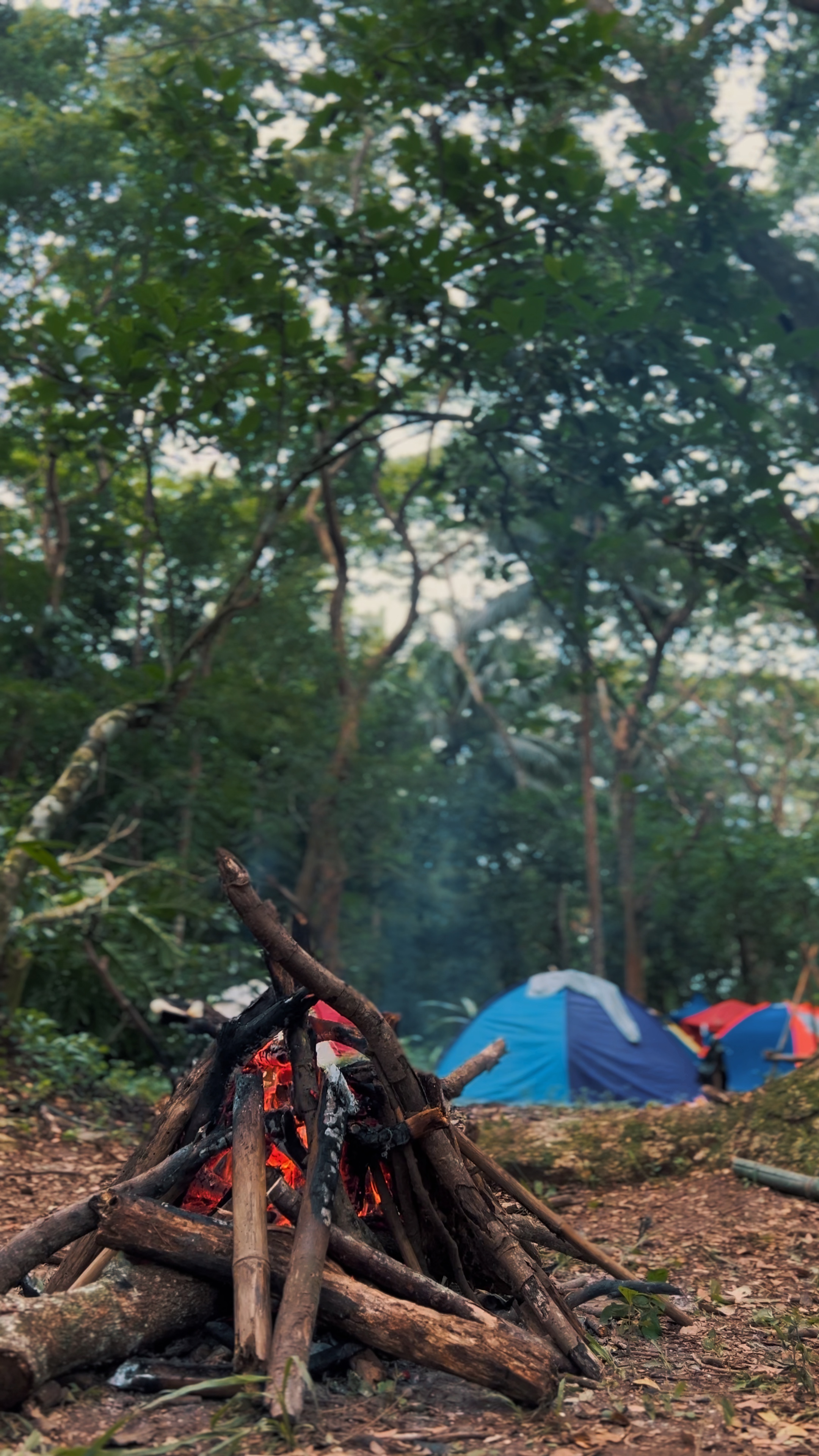 Cinematic camping