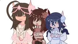 Dogs/cats are weird
