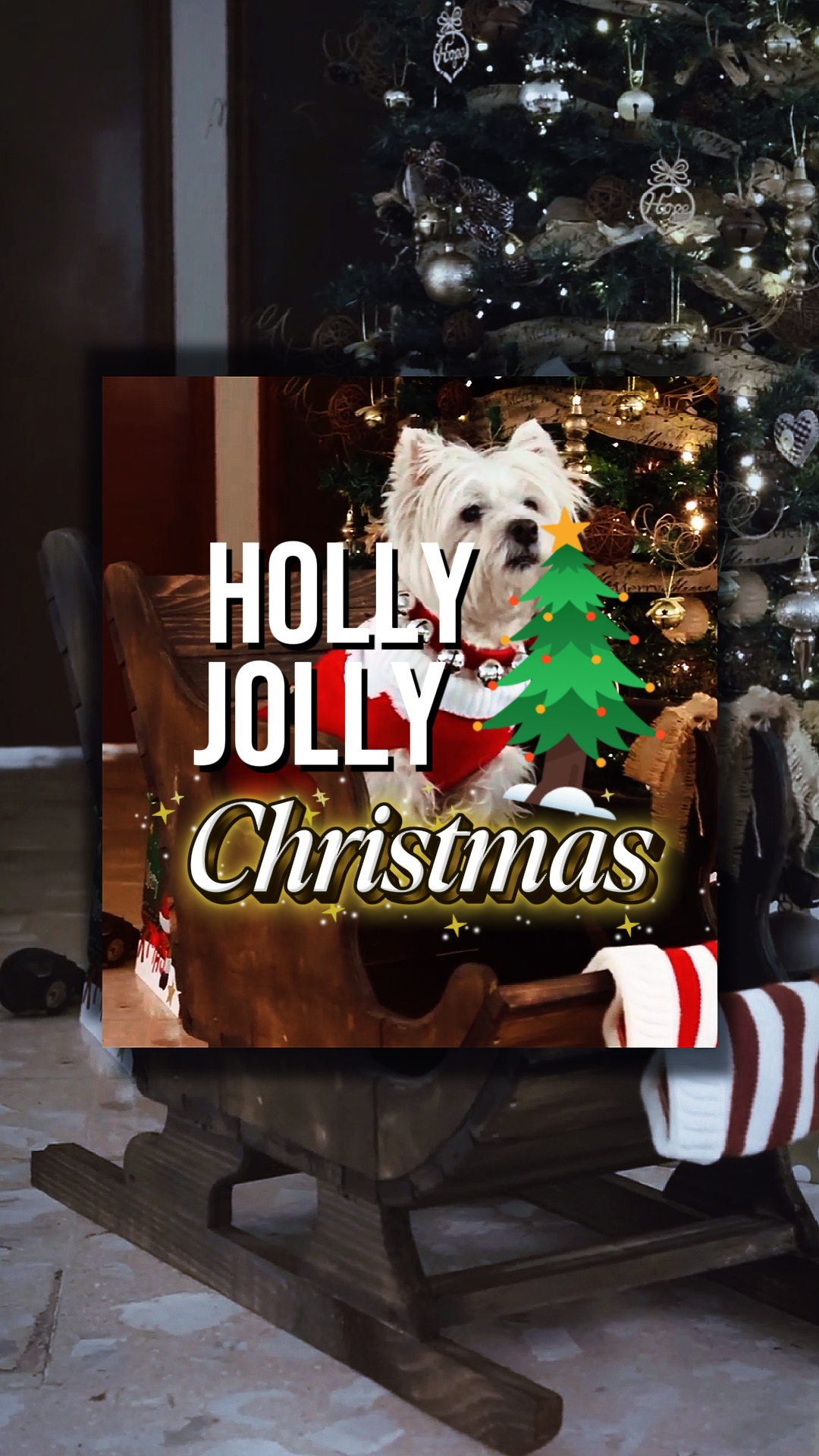 Noël joyeux