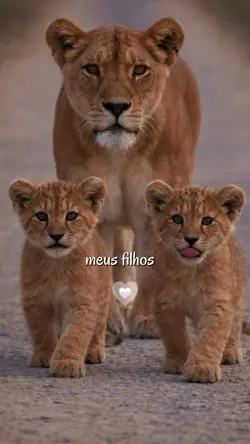 CUIDA DOS MEUS FILHO