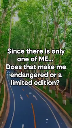 Limited edition?
