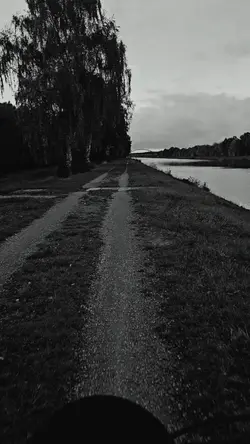 Dankbarkeit!
