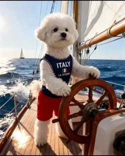 captain dog