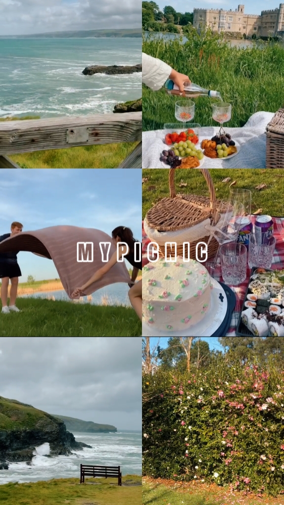 my picnic