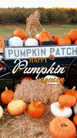 Pumpkin patch day