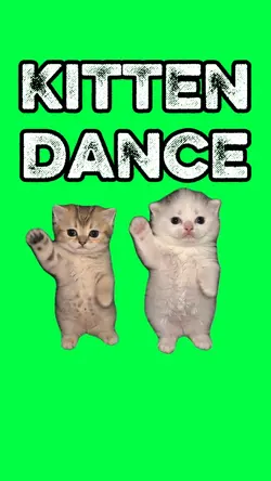 KITTEN DANCE TREND