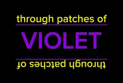 PATCHES OF VIOLET