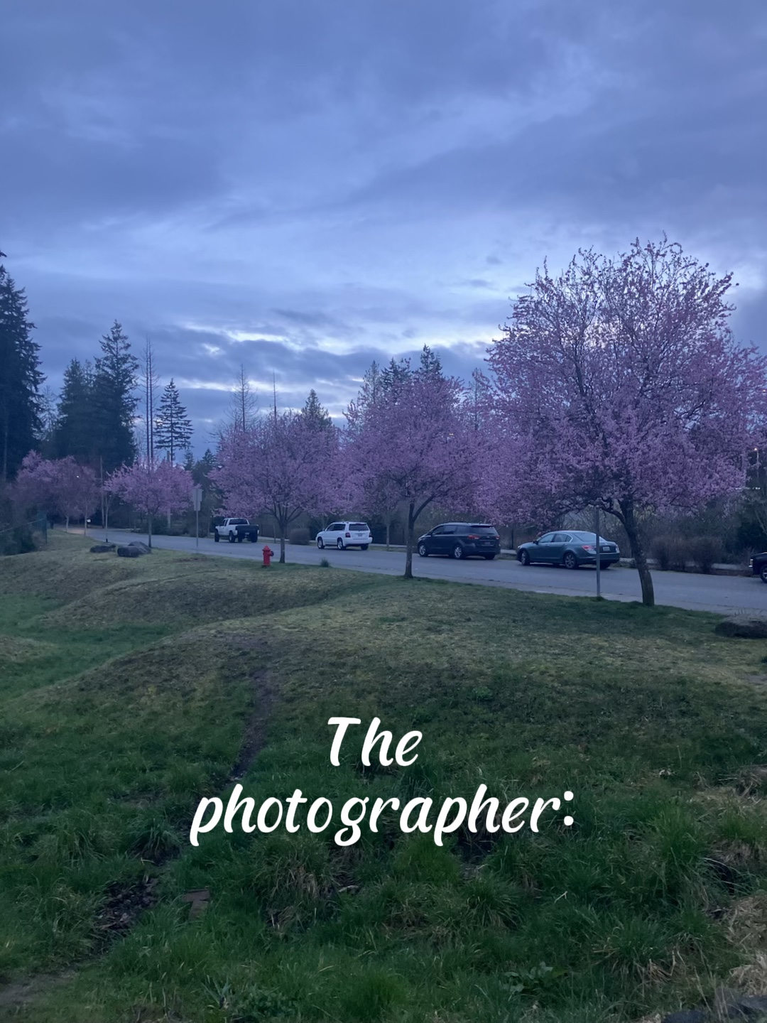 Fotógrafo v foto