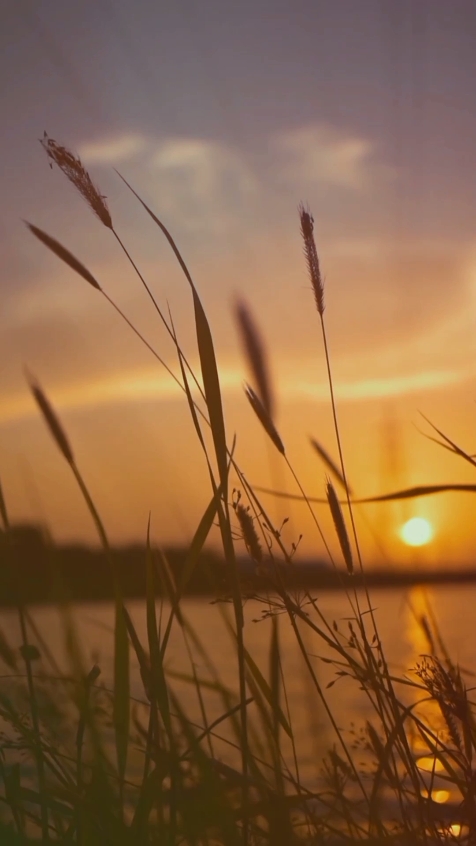 Cinematic Nature