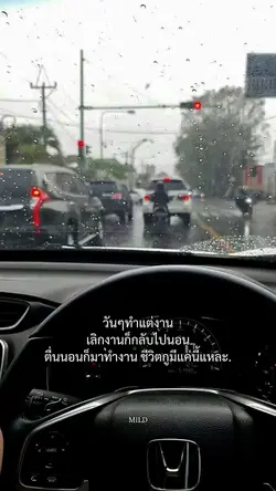 วันๆทำแต่งาน