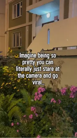 imagine 