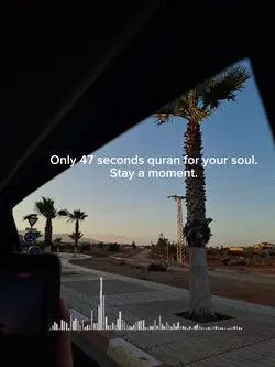 Quran for your soul