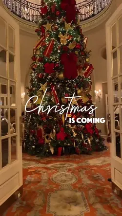 Rockin’ Around The