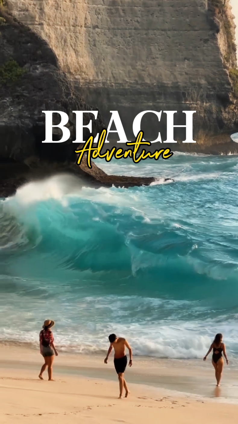 Aventure sur la plage 