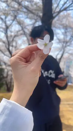 🌸 Cherry Time!!
