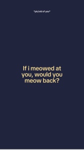 meow meow