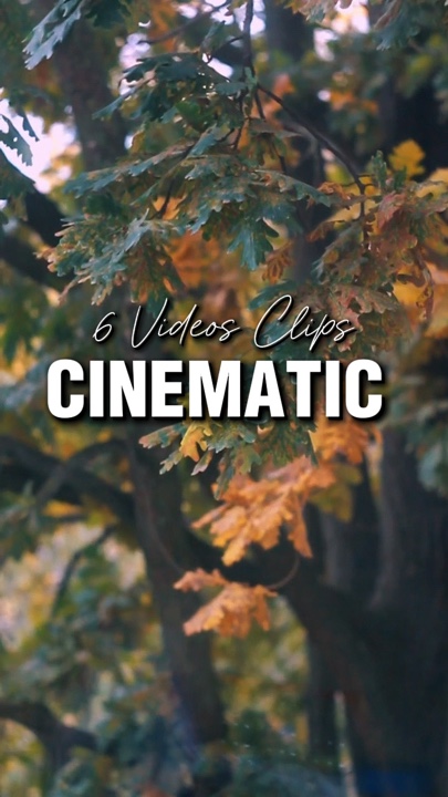6 Videos Clips 