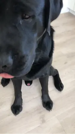 Oops I farted again!