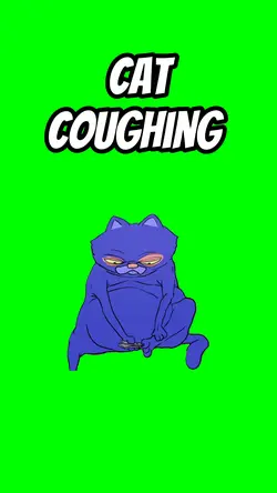 Cat coughing 
