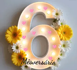 6° mêsversário 