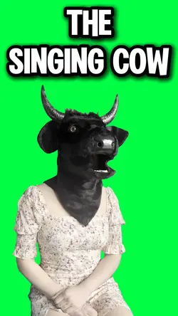 SINGING COW MEME