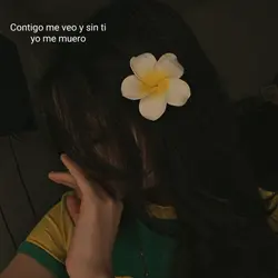 Te Amo y te amo