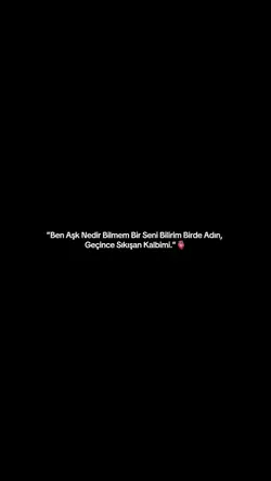 Vazgeçemem Senden 