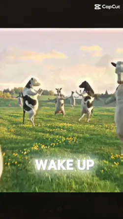 Wake up it’s the ….