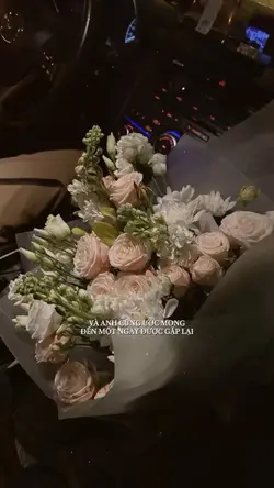 Không đau nữa rồi