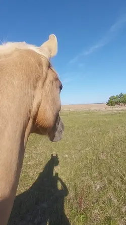 bonheur le plus fort