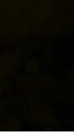 Cinematic Love Story