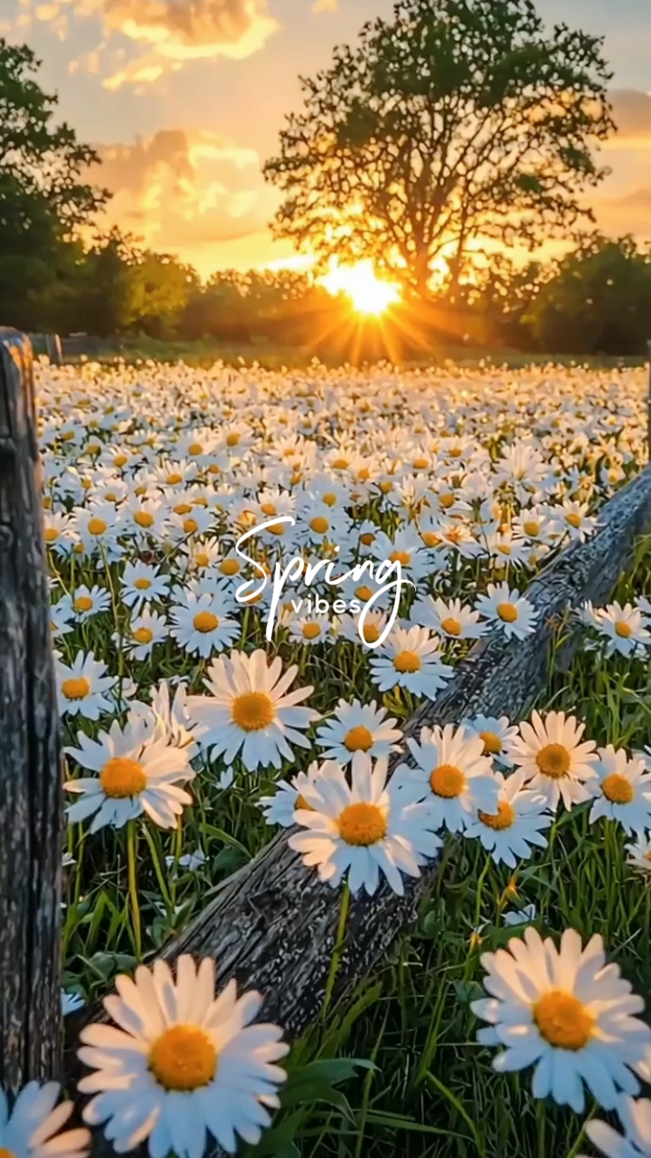 Spring vibes