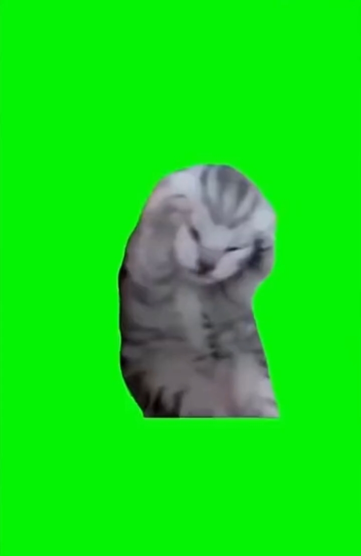 Tela verde 