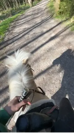 Ausreiten galoppiere