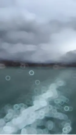 TREND SLOWMO 