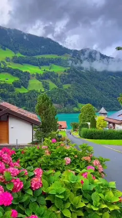 travel