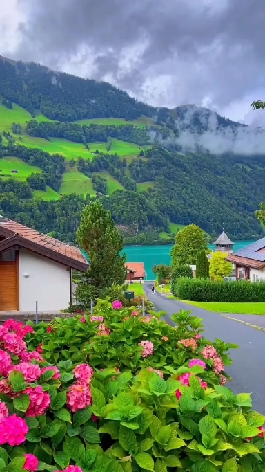 旅行
