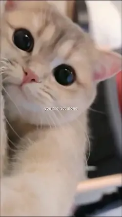 You are not alone