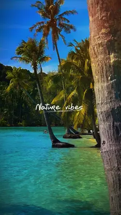 Nature vibes 