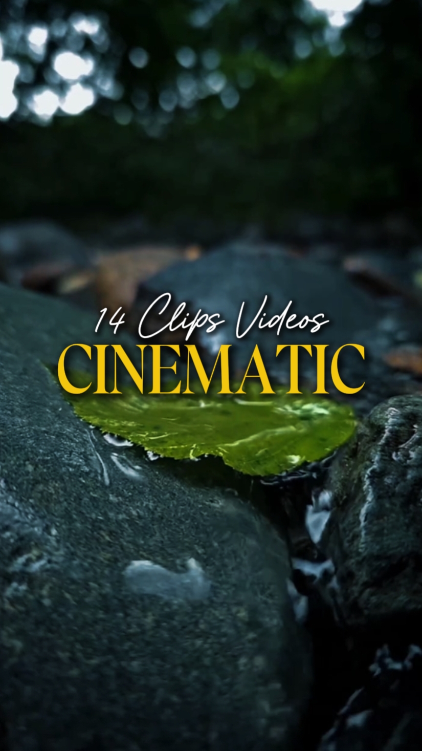 CINEMATIC 14 VIDEOS