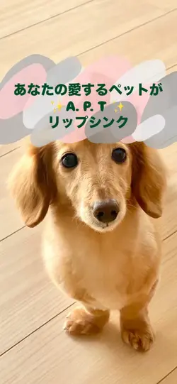 A.P.T リップシンク 