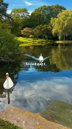 spring days