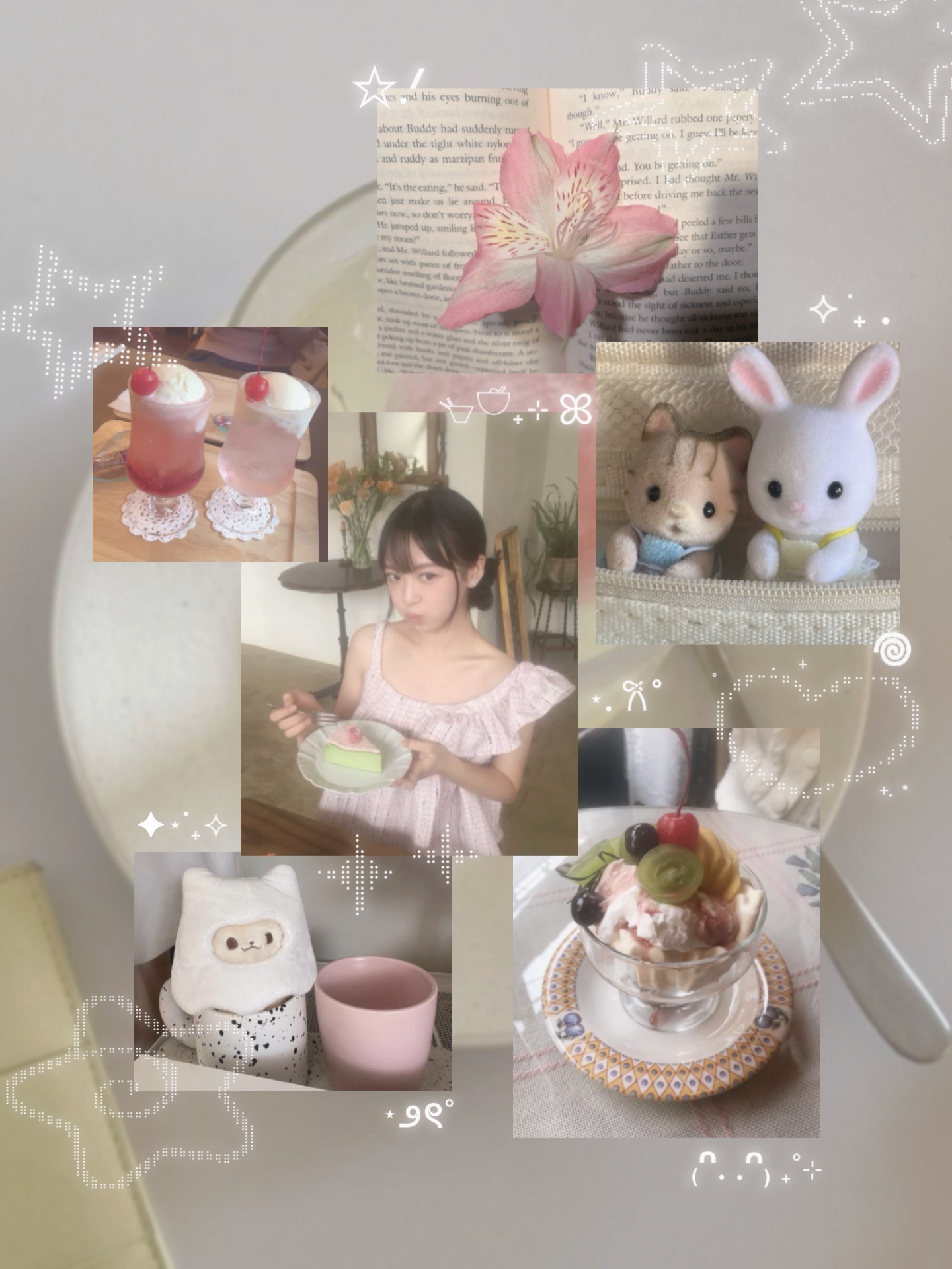 Cover Picture