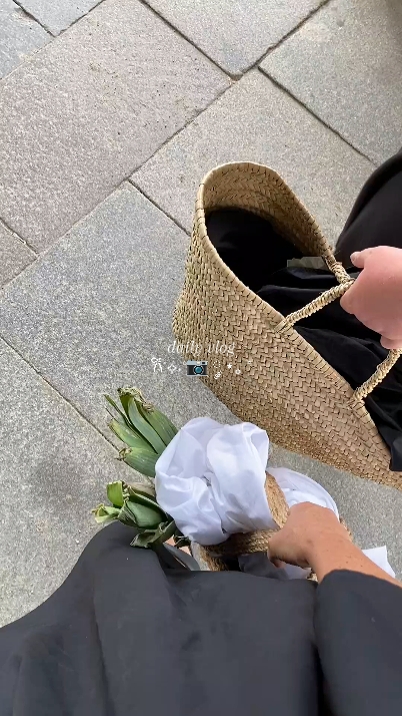 Vlog diário 