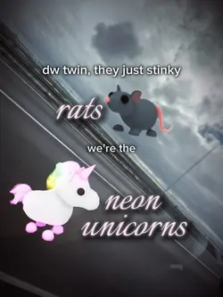 Frr